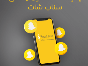 إدارة حملة تسويقية على سناب شات